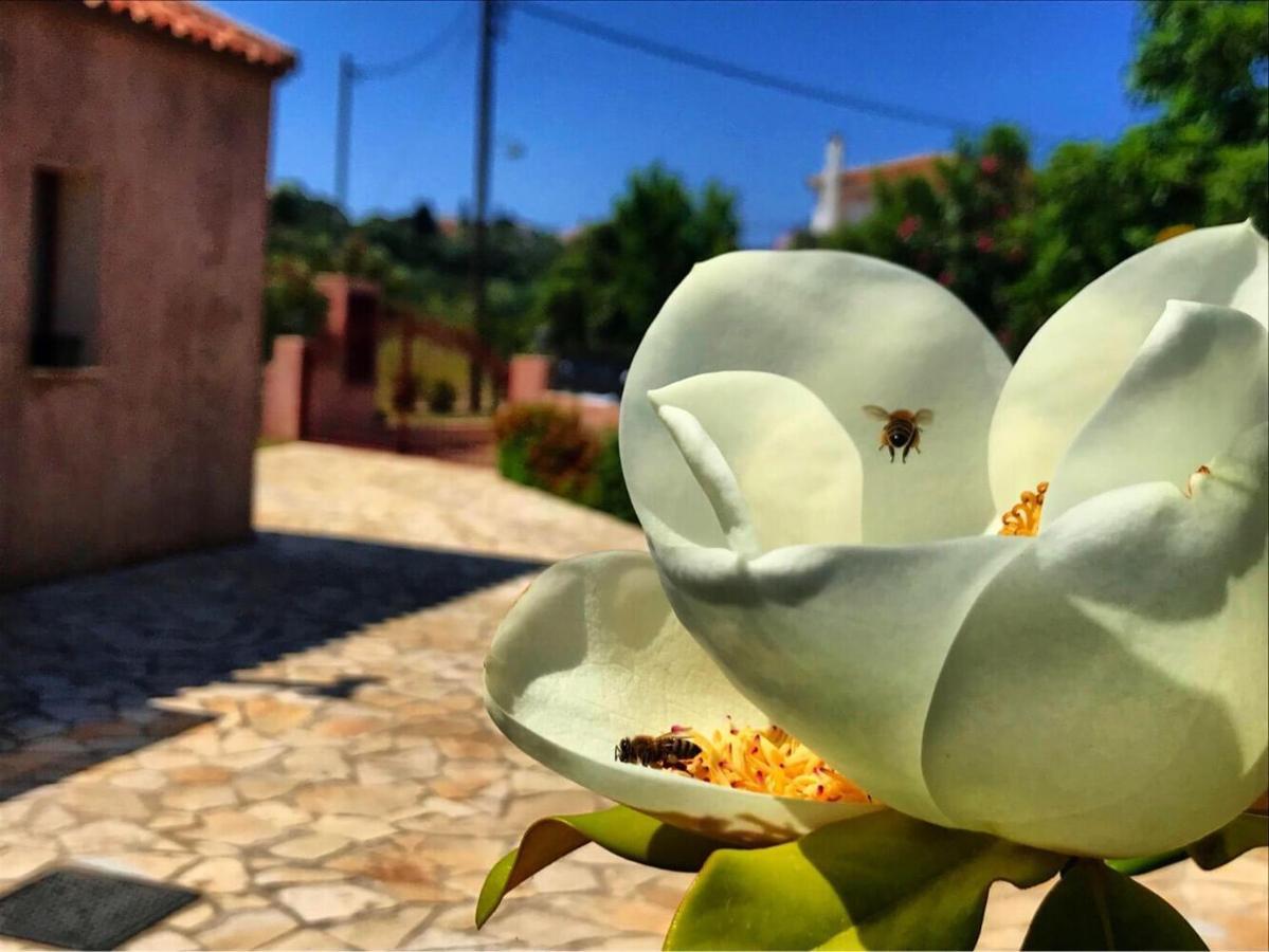 Villa Cottage Kantrillies Fokata Kültér fotó